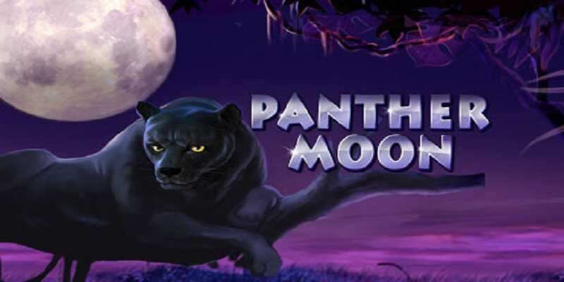panther-moon