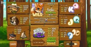 Fortunes of The Foxs