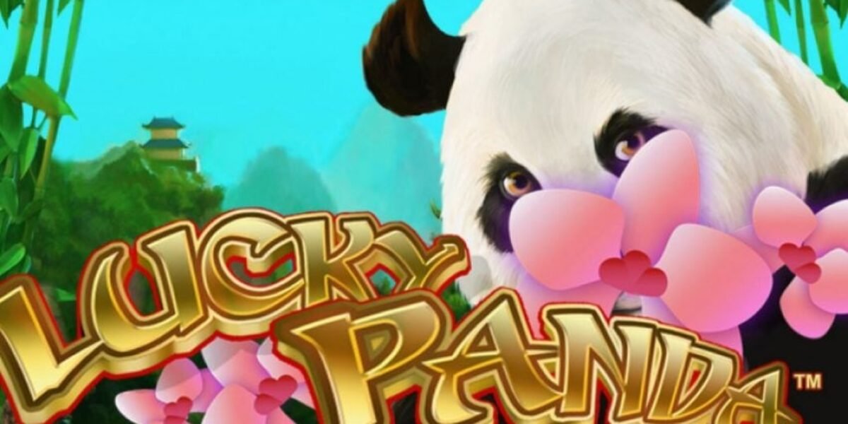 Review of lucky panda game from jili camp