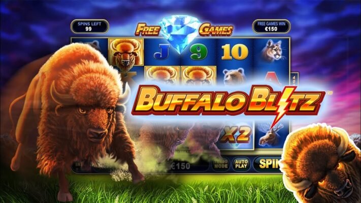 buffalo blitz