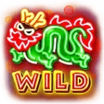 Wild Symbol