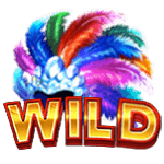 Wild Symbol