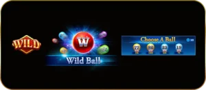 Review of the FORTUNE BINGO slot game from JILI, direct website, not through an agent.