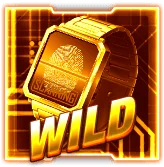 Special symbol Wild