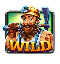 Wild symbol