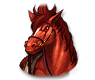 Horse – pay 150