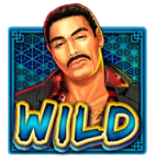 Wild symbol